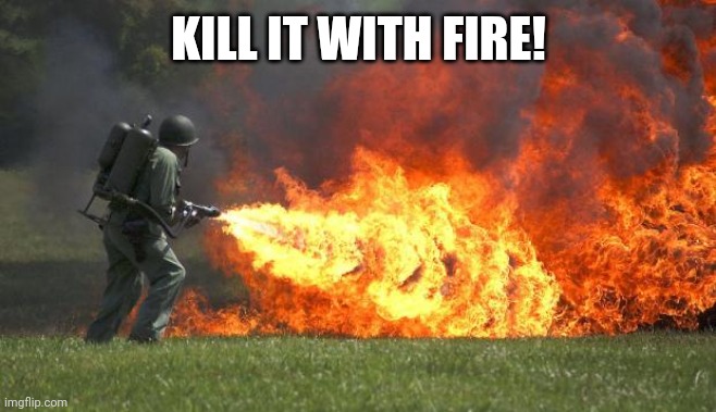 Seriously, kill it! | KILL IT WITH FIRE! | image tagged in flamethrower | made w/ Imgflip meme maker