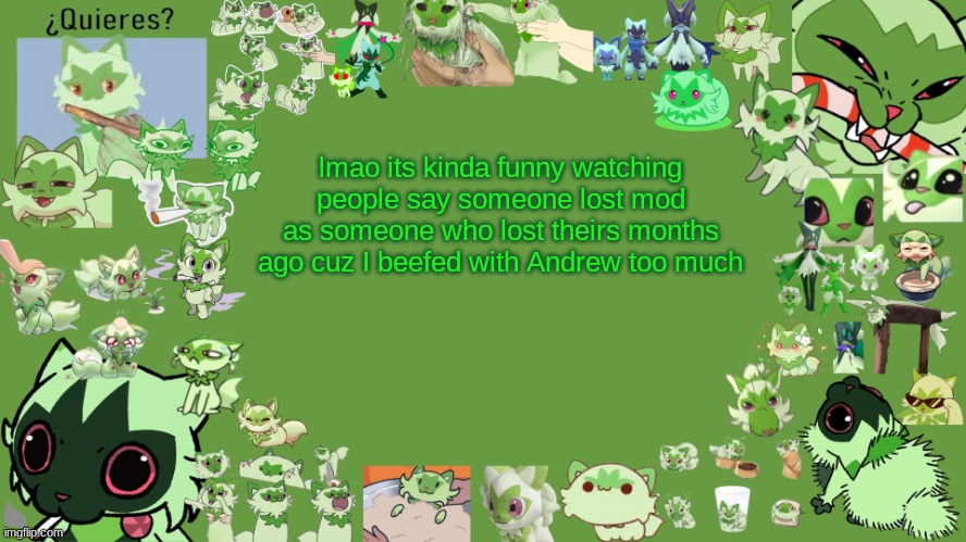 (this was supposed to be posted hours ago) | lmao its kinda funny watching people say someone lost mod as someone who lost theirs months ago cuz I beefed with Andrew too much | image tagged in drm's weed cat temp | made w/ Imgflip meme maker