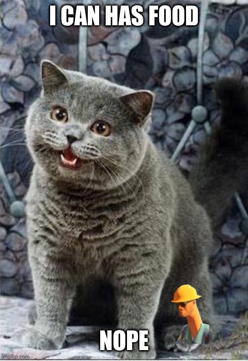 I can has cheezburger cat | I CAN HAS FOOD; NOPE | image tagged in i can has cheezburger cat | made w/ Imgflip meme maker