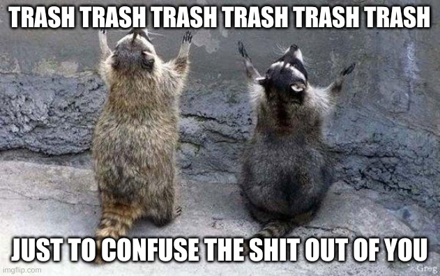 Raccoon Worshipping | TRASH TRASH TRASH TRASH TRASH TRASH; JUST TO CONFUSE THE SHIT OUT OF YOU | image tagged in raccoon worshipping | made w/ Imgflip meme maker