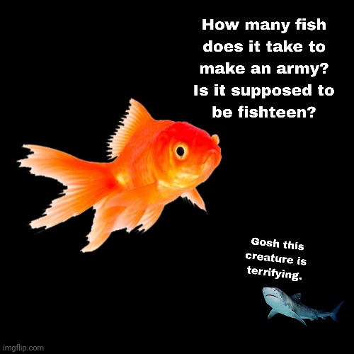 This might be too fishy for you. | image tagged in fish,funny,jokes | made w/ Imgflip meme maker