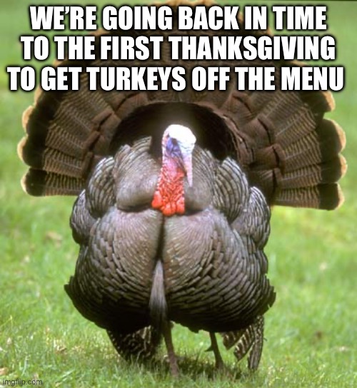 Turkey | WE’RE GOING BACK IN TIME TO THE FIRST THANKSGIVING TO GET TURKEYS OFF THE MENU | image tagged in memes,turkey | made w/ Imgflip meme maker