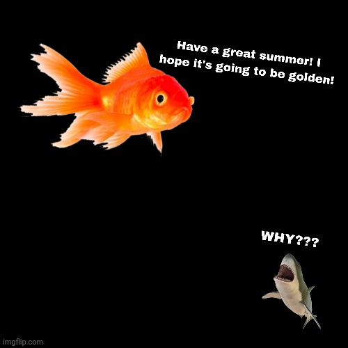 Shark is not happy guys. | made w/ Imgflip meme maker