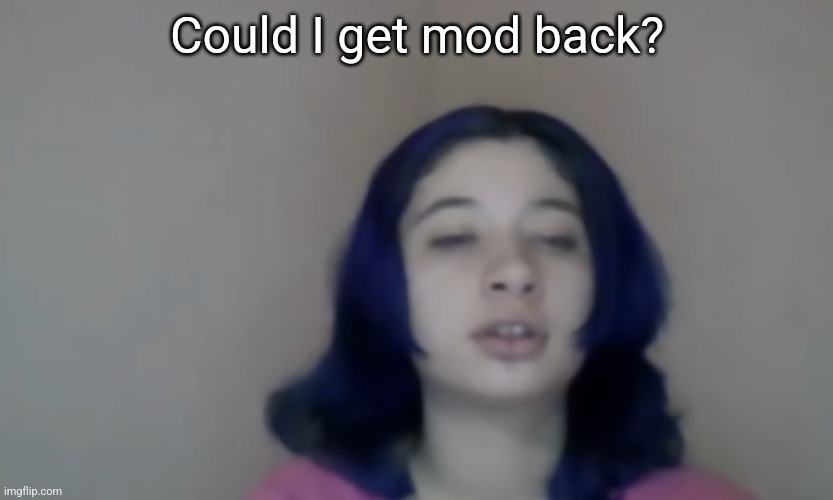 Fortnit ninja | Could I get mod back? | image tagged in fortnit ninja | made w/ Imgflip meme maker