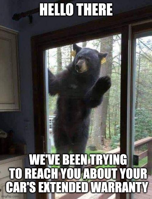 Bear at door | HELLO THERE; WE'VE BEEN TRYING TO REACH YOU ABOUT YOUR CAR'S EXTENDED WARRANTY | image tagged in bear at door | made w/ Imgflip meme maker