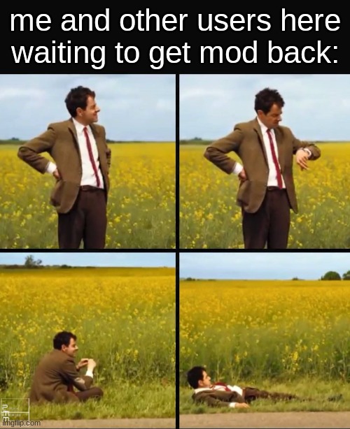 Mr bean waiting | me and other users here waiting to get mod back: | image tagged in mr bean waiting | made w/ Imgflip meme maker