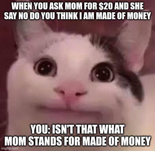 What mom really stands for | WHEN YOU ASK MOM FOR $20 AND SHE SAY NO DO YOU THINK I AM MADE OF MONEY; YOU: ISN'T THAT WHAT MOM STANDS FOR MADE OF MONEY | image tagged in funny | made w/ Imgflip meme maker