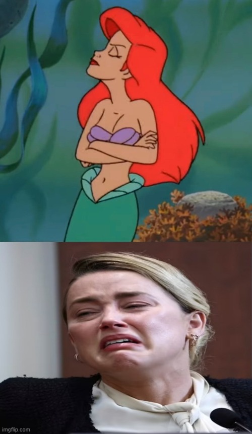 amber heard meme Blank Meme Template