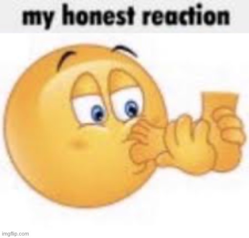 my honest reaction | image tagged in my honest reaction | made w/ Imgflip meme maker