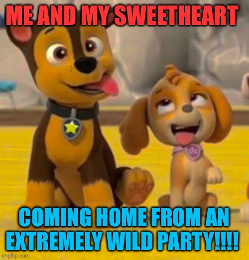 Wild party animals | ME AND MY SWEETHEART; COMING HOME FROM AN EXTREMELY WILD PARTY!!!! | image tagged in paw patrol,party time,sugar rush,drunk,romance,funny dogs | made w/ Imgflip meme maker