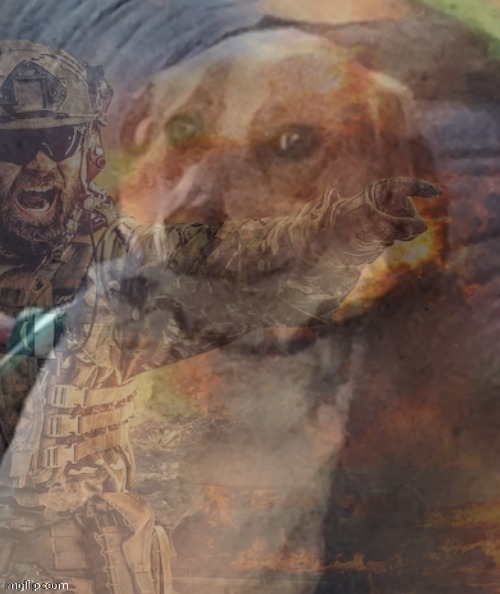 2 more days | image tagged in ptsd dog | made w/ Imgflip meme maker