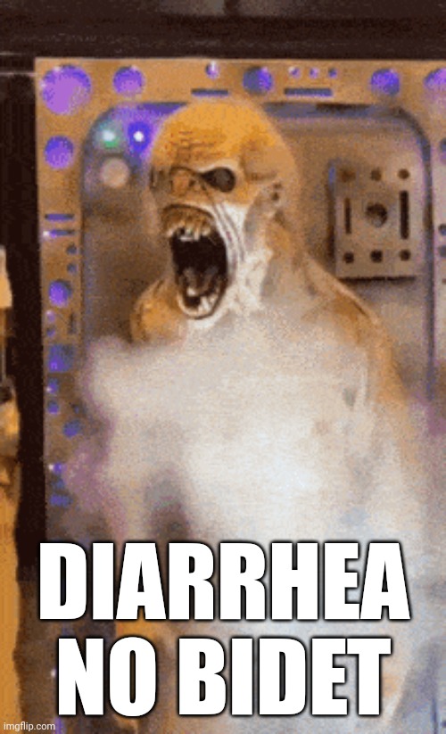 Tweaking | DIARRHEA NO BIDET | image tagged in tweaking,bidet | made w/ Imgflip meme maker