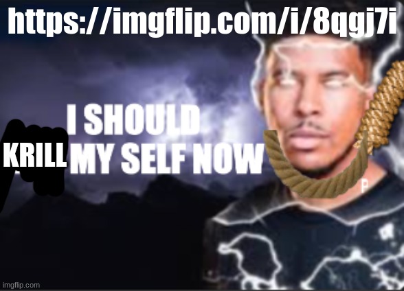 I should kill my self now | https://imgflip.com/i/8qgj7i; KRILL | image tagged in i should kill my self now | made w/ Imgflip meme maker