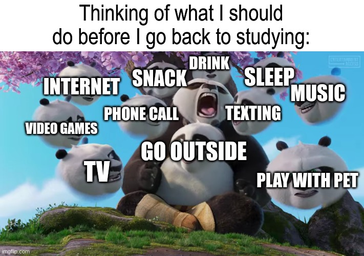 Decisions, decisions | Thinking of what I should do before I go back to studying:; DRINK; SLEEP; SNACK; INTERNET; MUSIC; TEXTING; PHONE CALL; VIDEO GAMES; GO OUTSIDE; TV; PLAY WITH PET | image tagged in memes,funny,studying,kung fu panda,movies | made w/ Imgflip meme maker