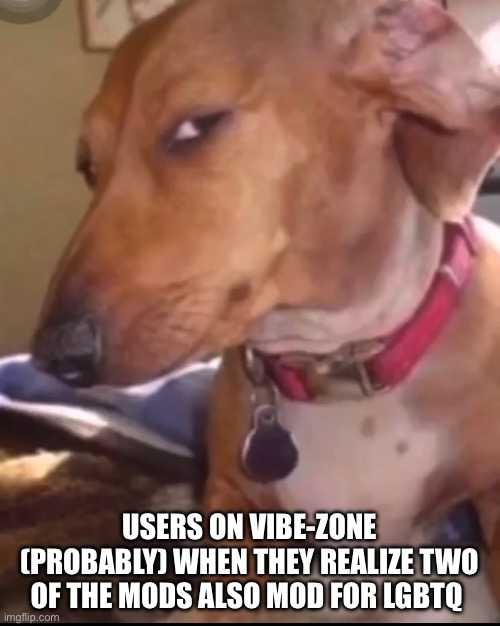 Users on vibe-zone (probably) | USERS ON VIBE-ZONE (PROBABLY) WHEN THEY REALIZE TWO OF THE MODS ALSO MOD FOR LGBTQ | image tagged in skeptical dog | made w/ Imgflip meme maker