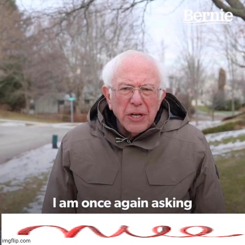 Bernie I Am Once Again Asking For Your Support | image tagged in memes,bernie i am once again asking for your support | made w/ Imgflip meme maker