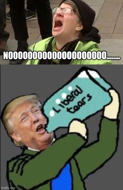 N00000000000OOOOOOOOO........ | image tagged in crying liberal,liberal tears | made w/ Imgflip meme maker