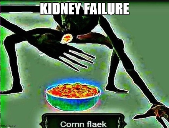 Cornm flaek | KIDNEY FAILURE | image tagged in cornm flaek | made w/ Imgflip meme maker