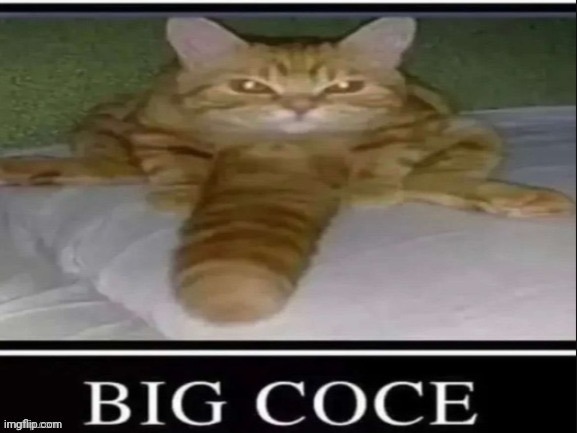 BIG COCE | image tagged in big coce | made w/ Imgflip meme maker