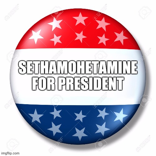 Blank for president | SETHAMOHETAMINE FOR PRESIDENT | image tagged in blank for president | made w/ Imgflip meme maker