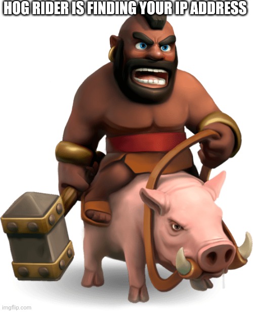 hog rider | HOG RIDER IS FINDING YOUR IP ADDRESS | image tagged in hog rider | made w/ Imgflip meme maker