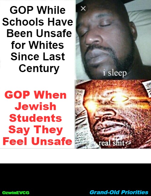 Grand-Old Priorities | GOP While 

Schools Have 

Been Unsafe

for Whites 

Since Last 

Century; GOP When 

Jewish 

Students 

Say They 

Feel Unsafe; Grand-Old Priorities; OzwinEVCG | image tagged in sleeping shaq,memes,jews,republican party,white privilege,occupied usa | made w/ Imgflip meme maker