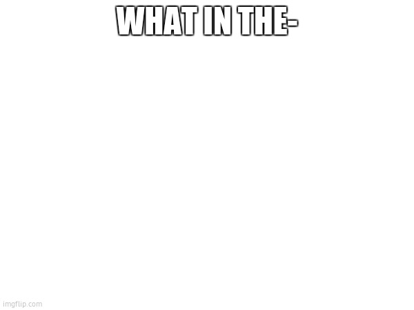 what- | WHAT IN THE- | made w/ Imgflip meme maker