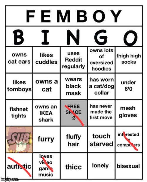 Femboy Bingo | image tagged in femboy bingo | made w/ Imgflip meme maker