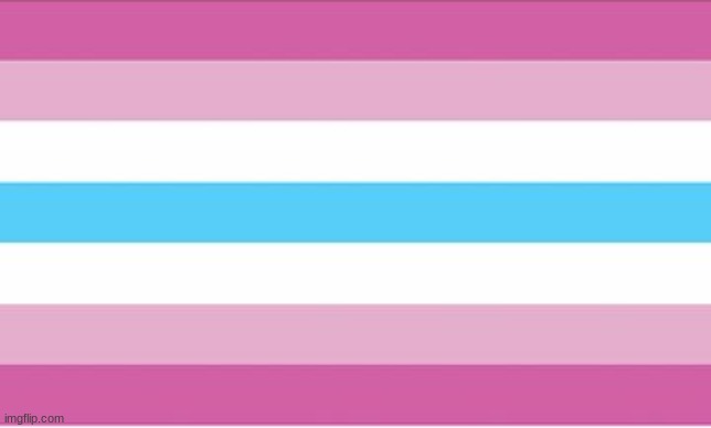 /j | image tagged in femboy pride flag | made w/ Imgflip meme maker