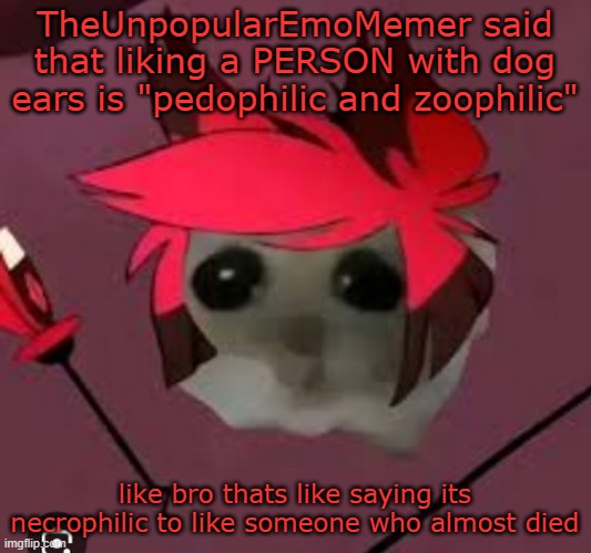 this happen a few weeks ago btw | TheUnpopularEmoMemer said that liking a PERSON with dog ears is "pedophilic and zoophilic"; like bro thats like saying its necrophilic to like someone who almost died | image tagged in sad hamster alastor | made w/ Imgflip meme maker