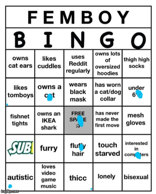 Femboy Bingo | image tagged in femboy bingo | made w/ Imgflip meme maker