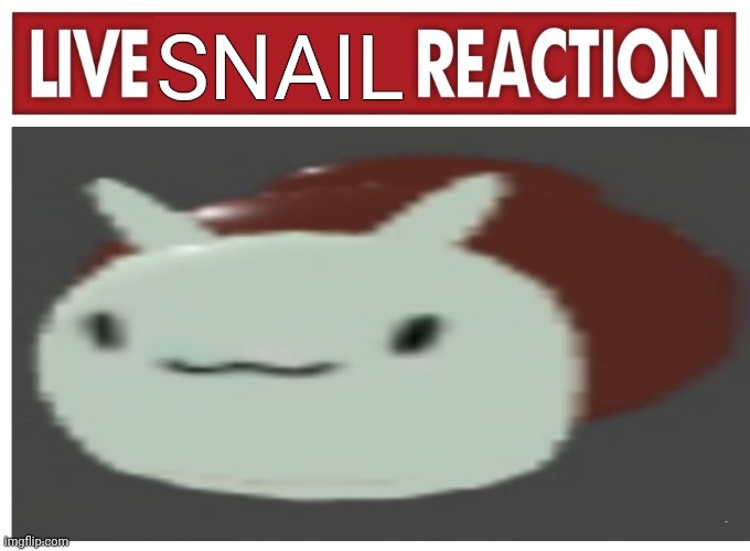 Live reaction | SNAIL; Yes | image tagged in live reaction | made w/ Imgflip meme maker