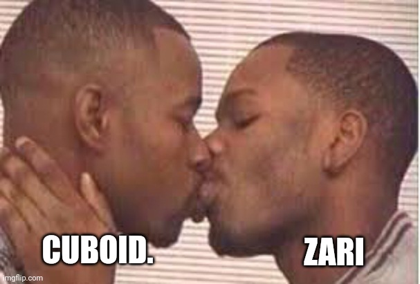 Cuboid and Zari BTS | ZARI; CUBOID. | image tagged in kiss the homies goodnight | made w/ Imgflip meme maker
