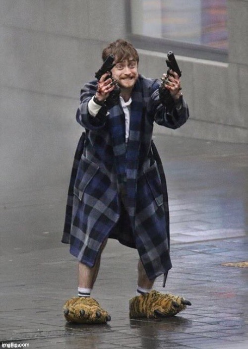 Harry Potter, but in the states | image tagged in harry potter guns | made w/ Imgflip meme maker