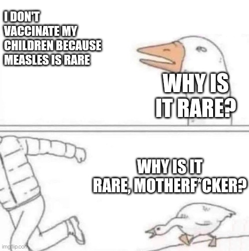 Goose Chase | I DON'T VACCINATE MY CHILDREN BECAUSE MEASLES IS RARE; WHY IS IT RARE? WHY IS IT RARE, MOTHERF*CKER? | image tagged in goose chase | made w/ Imgflip meme maker