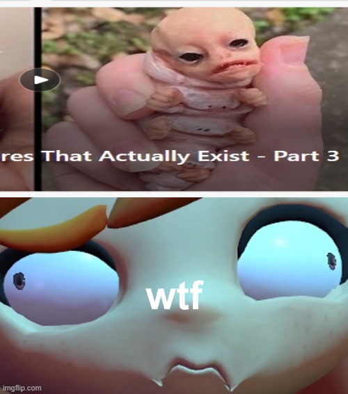 wtf | image tagged in smg4,smg4 wtf face,cursed image,shitpost | made w/ Imgflip meme maker