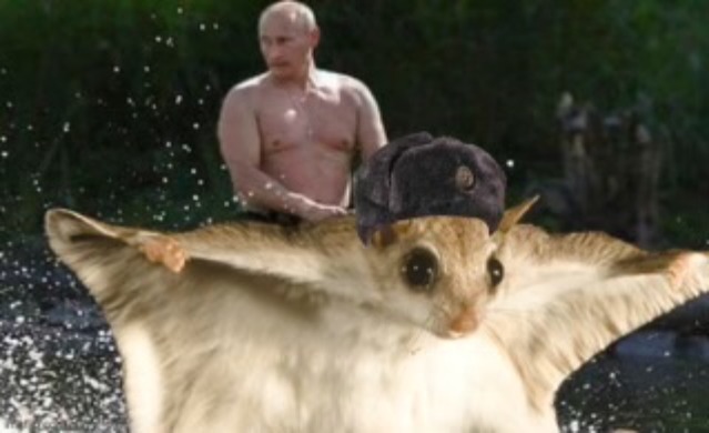 Putin riding hakoro | image tagged in hakoro,putin,putin riding bear | made w/ Imgflip meme maker