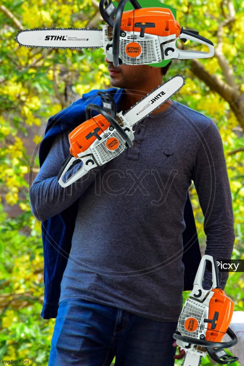 Realistic Chainsawman | image tagged in memes,anime,chainsaw man,shitpost | made w/ Imgflip meme maker