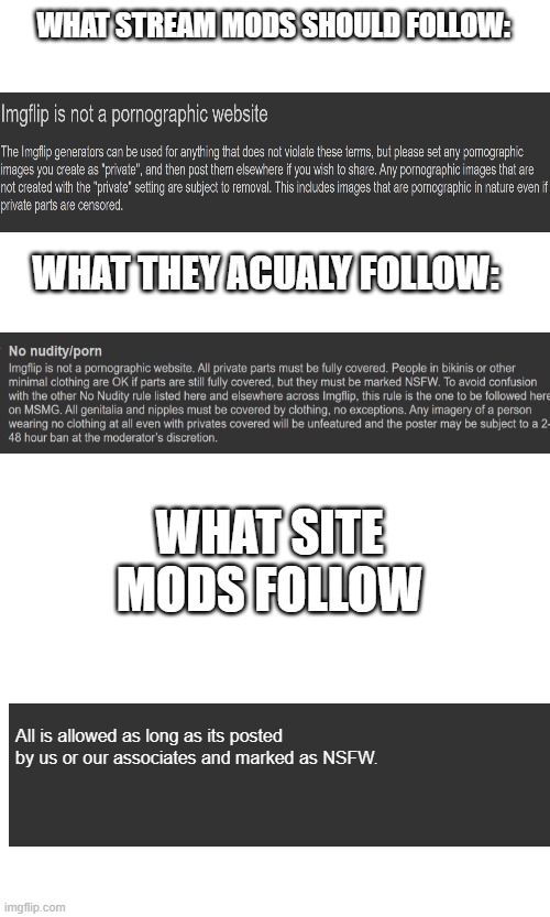WHAT STREAM MODS SHOULD FOLLOW:; WHAT THEY ACUALY FOLLOW:; WHAT SITE MODS FOLLOW; All is allowed as long as its posted by us or our associates and marked as NSFW. | made w/ Imgflip meme maker