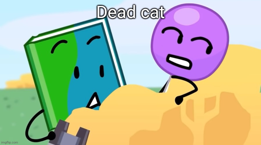 Chat* | Dead cat | image tagged in you exhaust me / | made w/ Imgflip meme maker