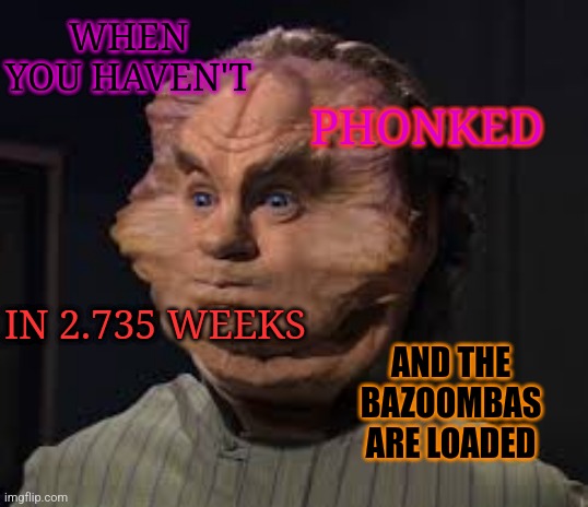 Phlox | WHEN YOU HAVEN'T; PHONKED; IN 2.735 WEEKS; AND THE BAZOOMBAS ARE LOADED | image tagged in goofy | made w/ Imgflip meme maker