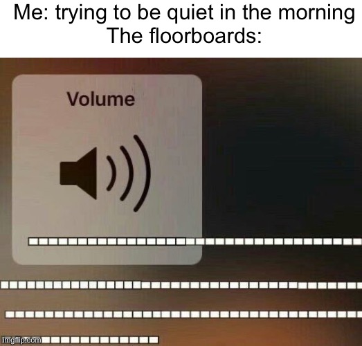 f l o o r b o a r d s | Me: trying to be quiet in the morning
The floorboards: | image tagged in volume up,floorboards,ugh,stop reading the tags,memes | made w/ Imgflip meme maker