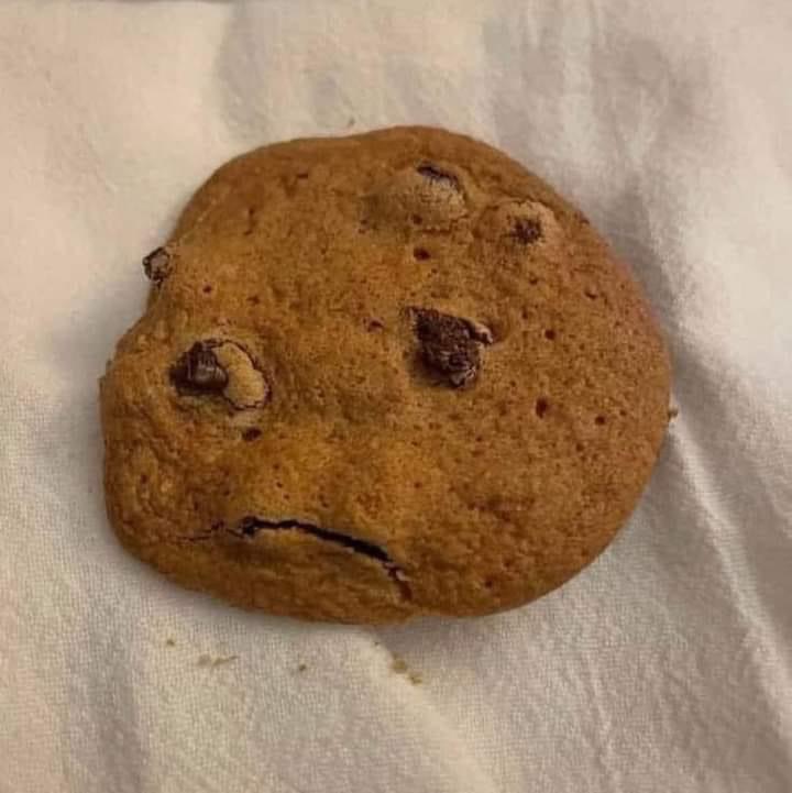 High Quality Sad Cookie Blank Meme Template