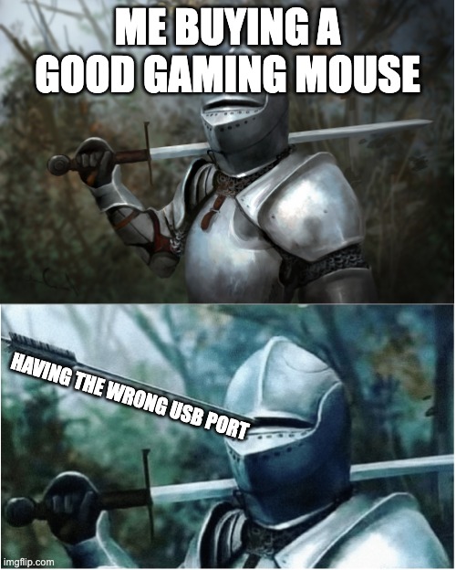 *sigh* | ME BUYING A GOOD GAMING MOUSE; HAVING THE WRONG USB PORT | image tagged in knight with arrow in helmet,gaming,mouse | made w/ Imgflip meme maker