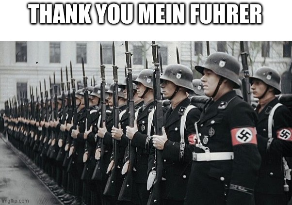 nazi soldiers | THANK YOU MEIN FUHRER | image tagged in nazi soldiers | made w/ Imgflip meme maker