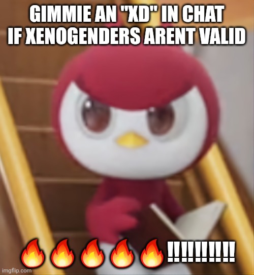 BOOK ❗️ | GIMMIE AN "XD" IN CHAT IF XENOGENDERS ARENT VALID; 🔥🔥🔥🔥🔥‼️‼️‼️‼️‼️ | image tagged in book | made w/ Imgflip meme maker