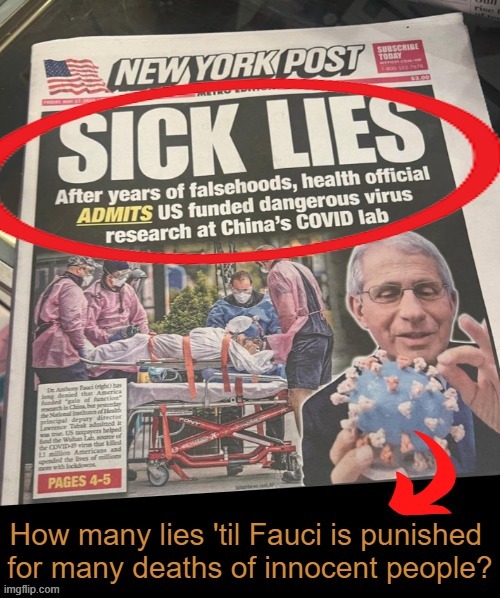 “If the government can suspend your rights anytime it deems something is a crisis, you don’t have rights. You have permissions.” | image tagged in politics,fauci,lies lies and more damn lies,china,medical tyranny,crime and punishment | made w/ Imgflip meme maker