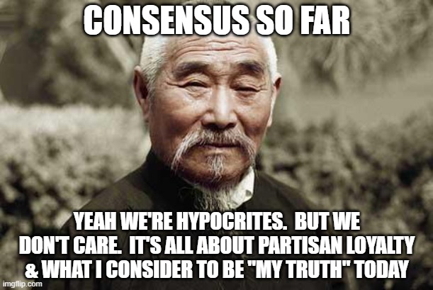 Wise man | CONSENSUS SO FAR YEAH WE'RE HYPOCRITES.  BUT WE DON'T CARE.  IT'S ALL ABOUT PARTISAN LOYALTY & WHAT I CONSIDER TO BE "MY TRUTH" TODAY | image tagged in wise man | made w/ Imgflip meme maker