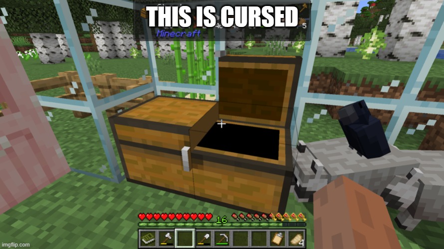 cursed minecraft chest | THIS IS CURSED | image tagged in cursed minecraft chest | made w/ Imgflip meme maker