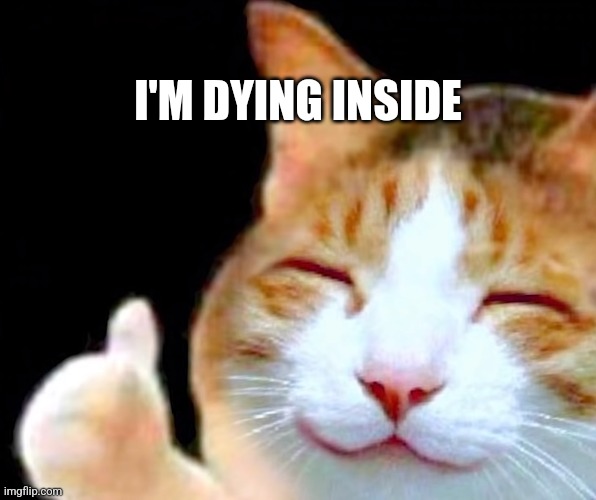 Happy Thumbs Up Cat | I'M DYING INSIDE | image tagged in happy thumbs up cat | made w/ Imgflip meme maker